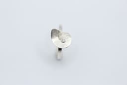 Zilveren ring met een schelpje